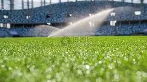 亨曼看好穆雷停摆期助力延长运动生涯