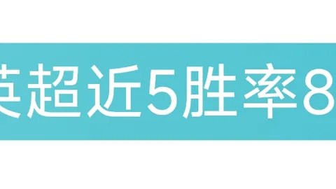 布伦特福德主场表现：5胜3期专家质合分析